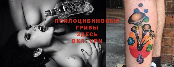 молекула духа Алзамай