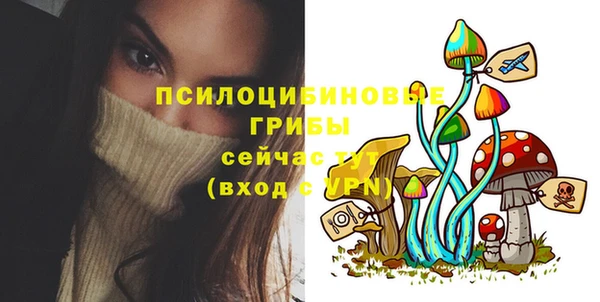 гашик Абдулино