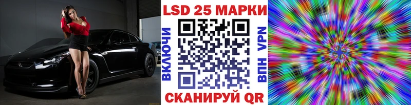 дарнет шоп  кракен ССЫЛКА  Наркотические марки 1,8мг  Курлово 