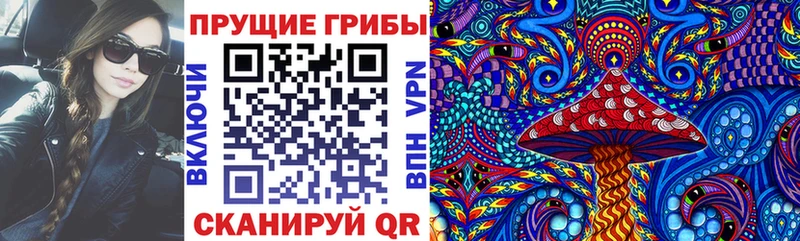 Псилоцибиновые грибы Magic Shrooms  где продают   Курлово 